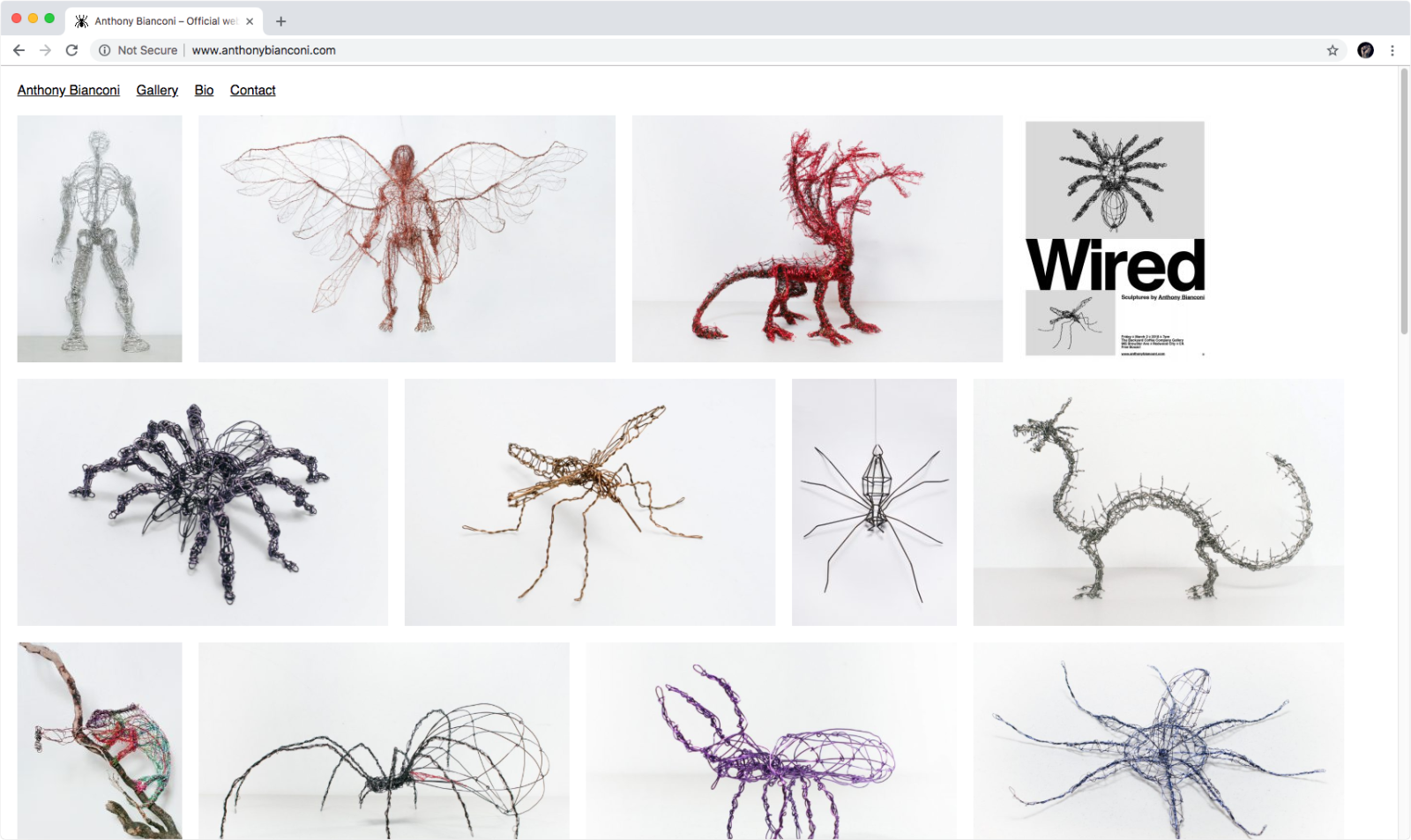 Anthony Bianconi 01 Website