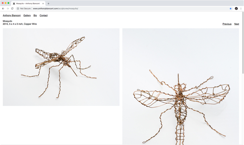 Anthony Bianconi 02 Website