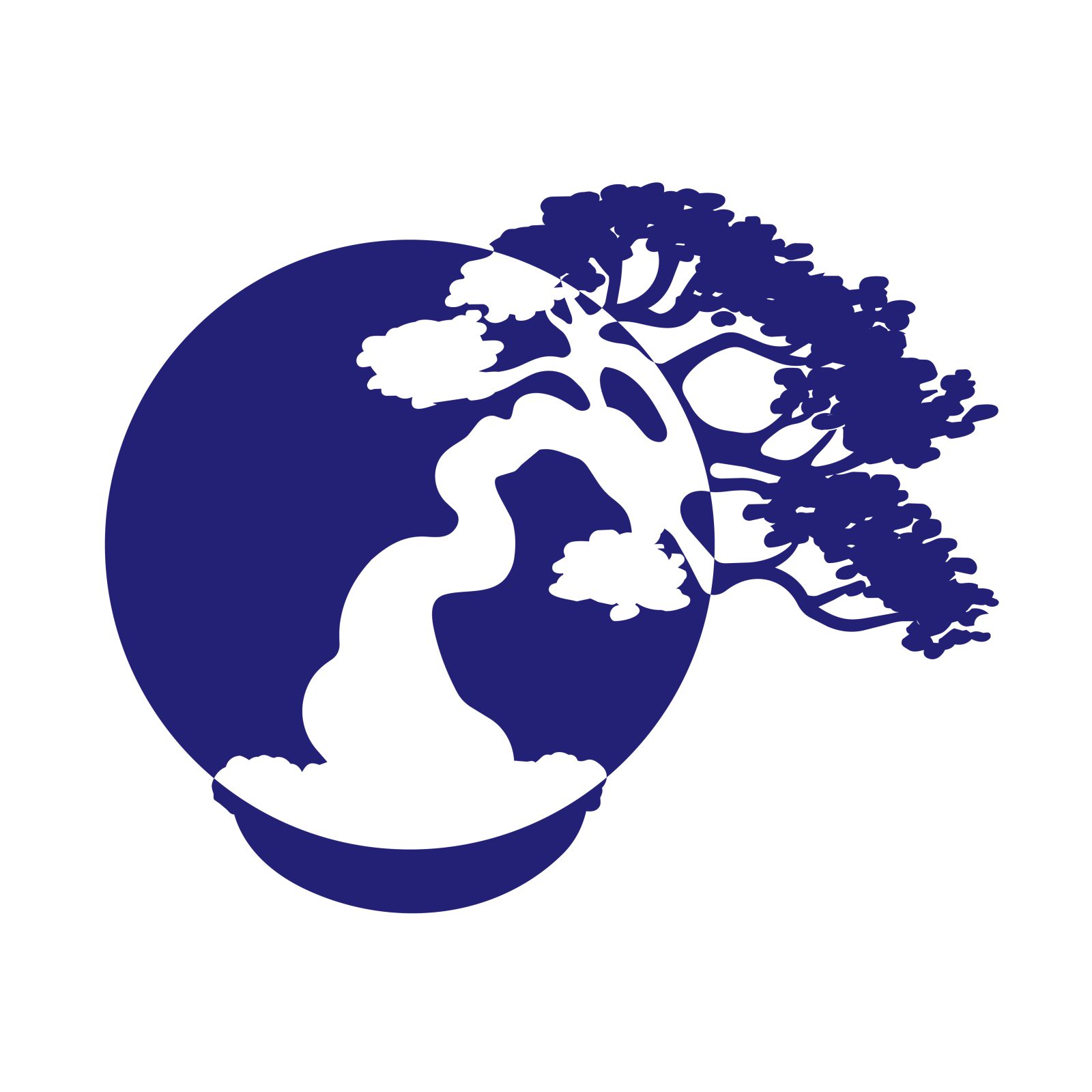 Danubiusbonsaiklub 12