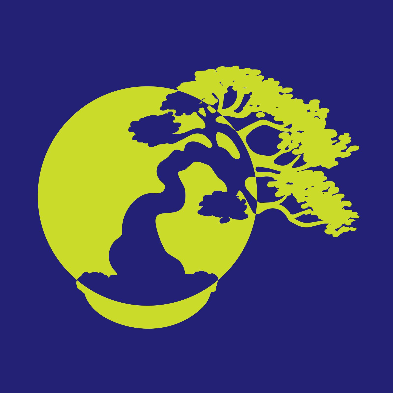 Danubiusbonsaiklub 17