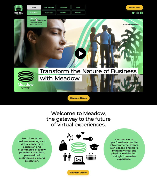 Bizzlogic Meadow Metaverse 8