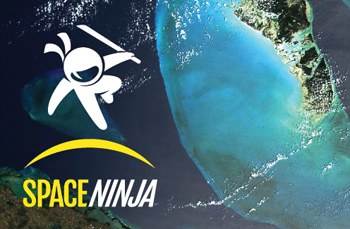 Space Ninja 03 Business Card