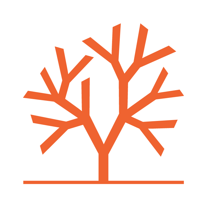 Y Combinator